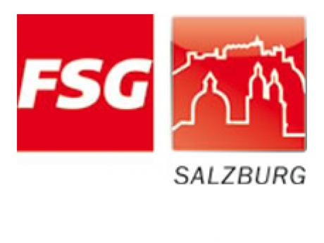 FSG Logo 229x174